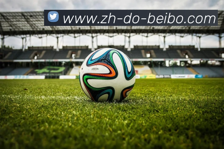 BB体育下载发展历程