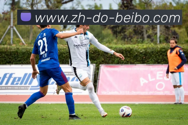 世界足球殿堂级场地盘点：世俱杯著名赛场深度介绍